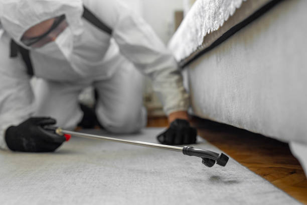 Professional Pest Control technician working in Comanche, TX