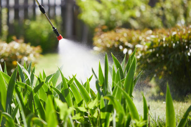 24/7 Emergency Termite Control experts in Comanche, TX