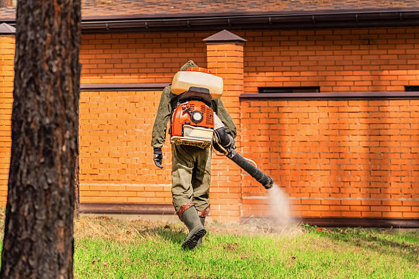 Trusted Termite Control service in Comanche, TX - Nex Pest Control